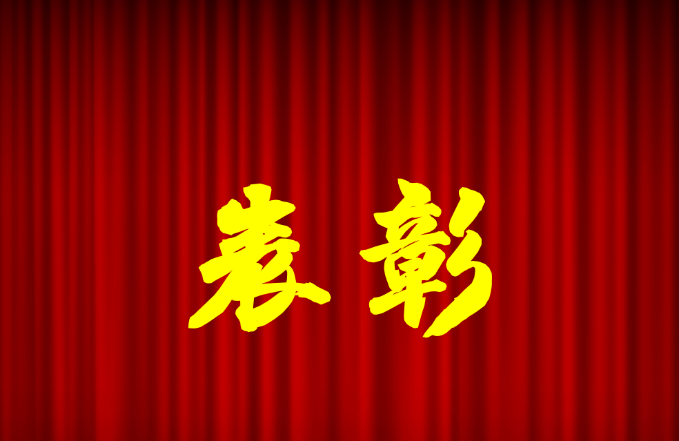 逐光前行、榮耀共鑒 | 公司2024年度表彰來啦！